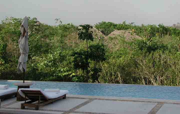 webexploreanjunglepool.jpg